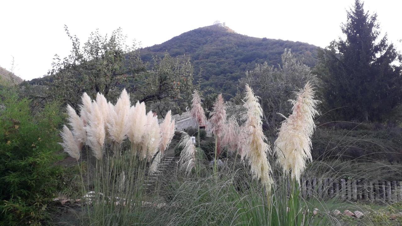 Masseria Boutique B&B 蒙特拉 外观 照片