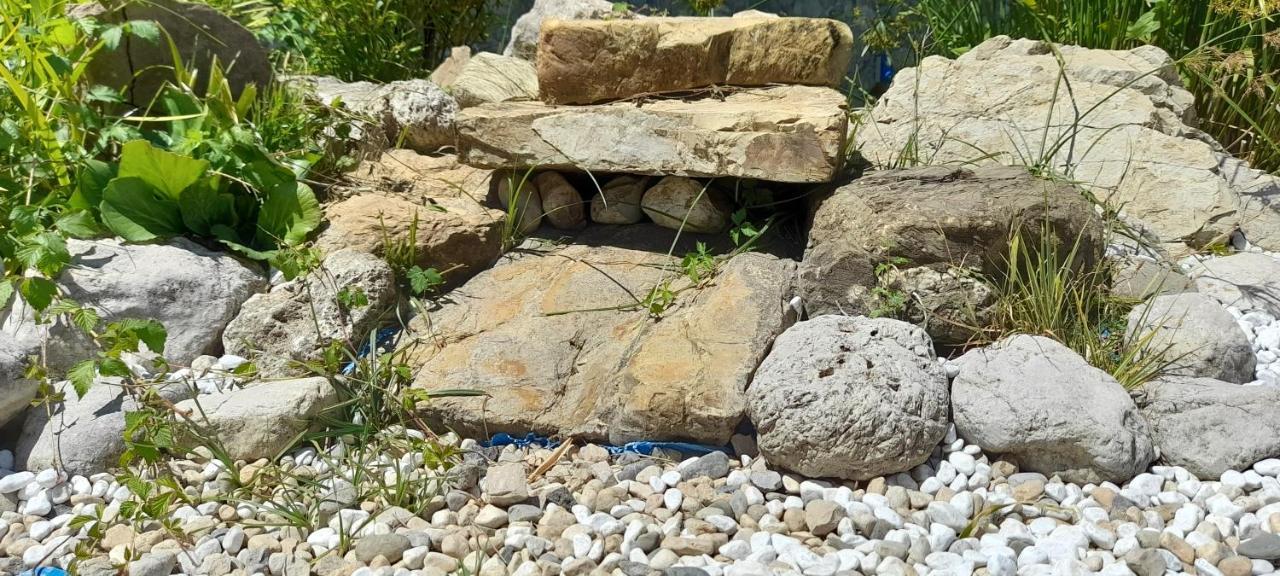 Masseria Boutique B&B 蒙特拉 外观 照片
