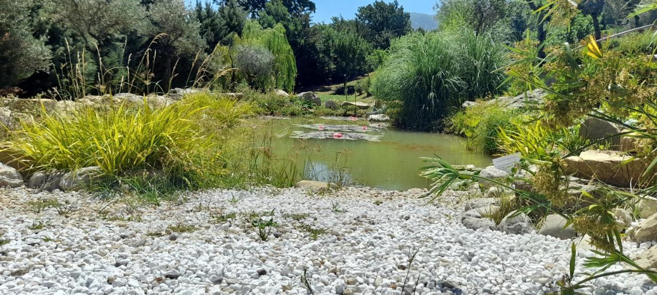 Masseria Boutique B&B 蒙特拉 外观 照片