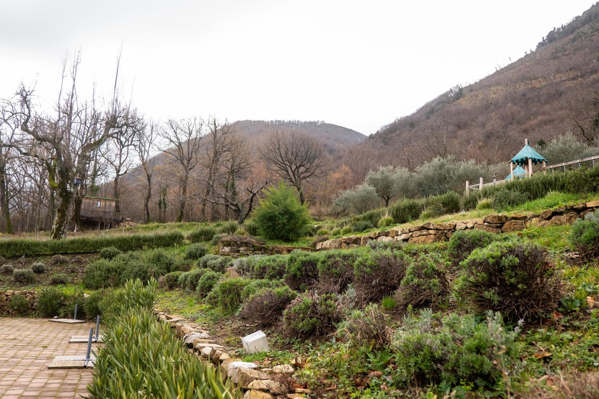 Masseria Boutique B&B 蒙特拉 外观 照片