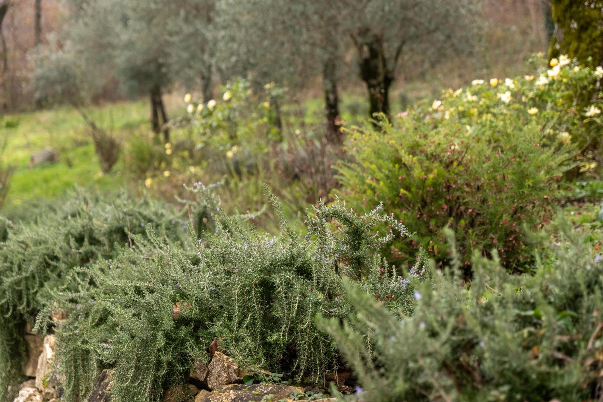 Masseria Boutique B&B 蒙特拉 外观 照片